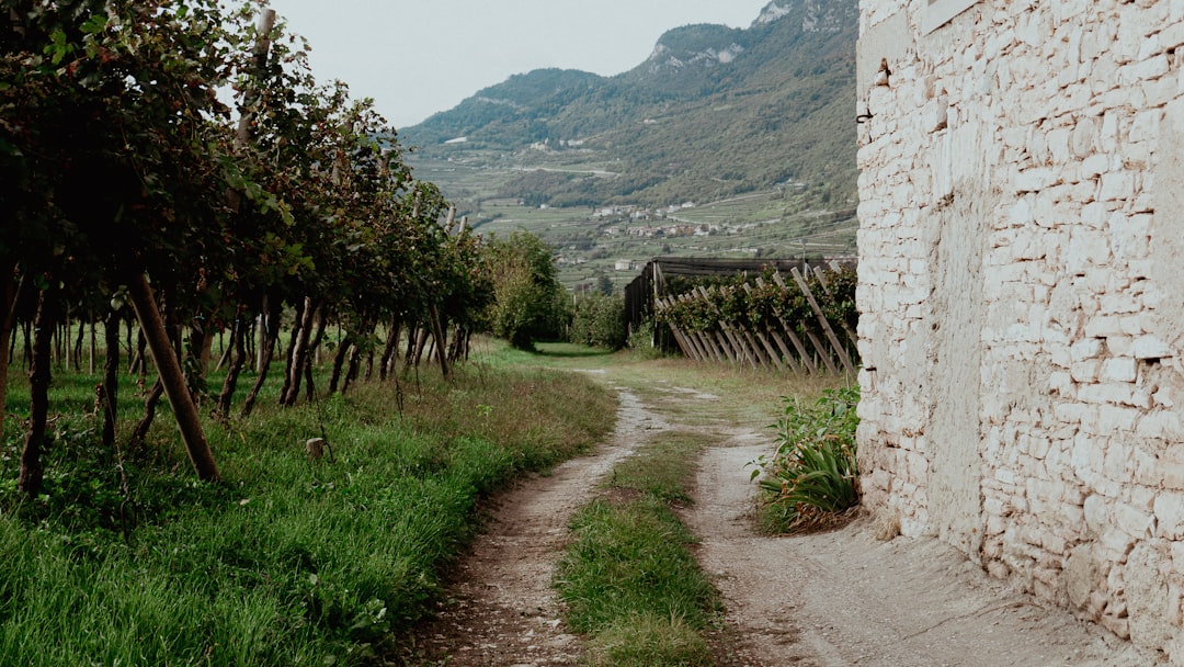 Best Travel Apps for Trento 2026: Top 5 to Try - Trento | Secret World Trip Planner