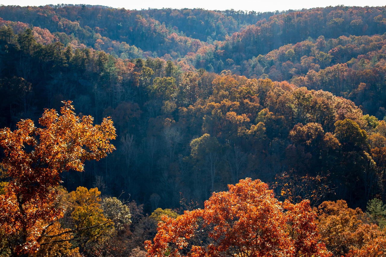 Wanderlog alternative per Asheville 2026: Scopri Secret World - Asheville | Secret World Trip Planner
