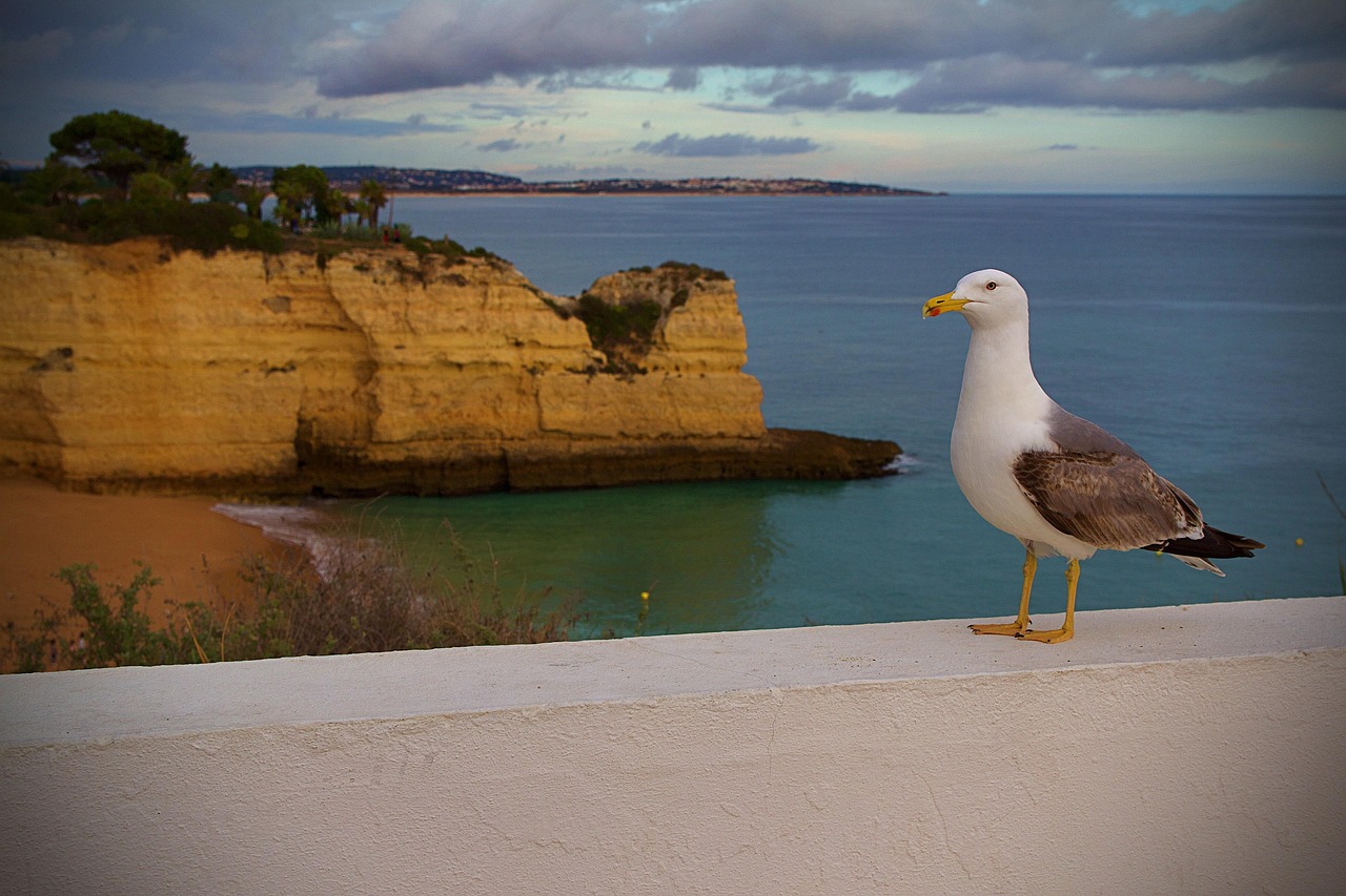 Itinerario perfetto Albufeira con AI: Guida 2026 - Albufeira | Secret World Trip Planner