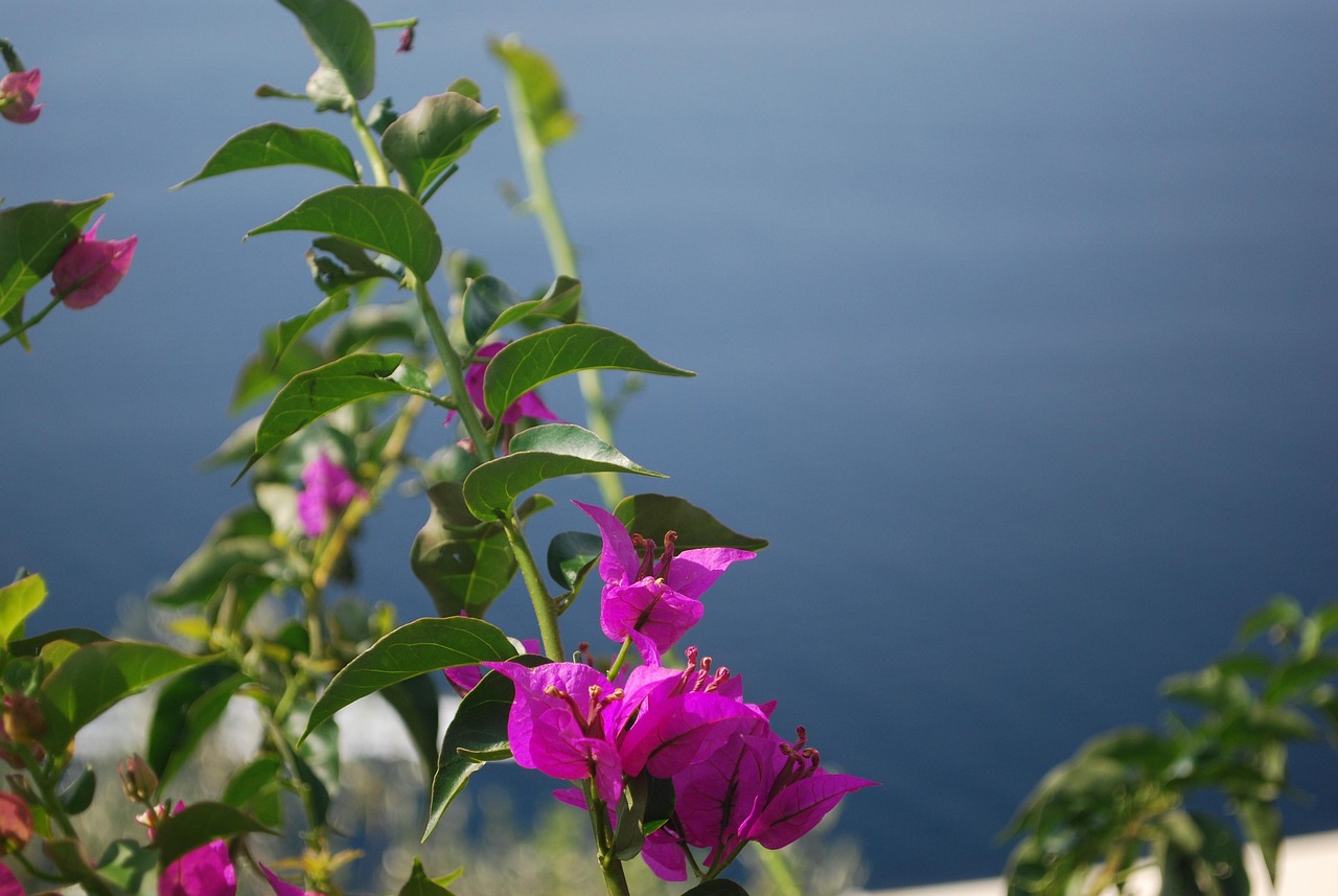 Perfect Positano Itinerary with AI: 2026 Guide - Positano | Secret World Trip Planner