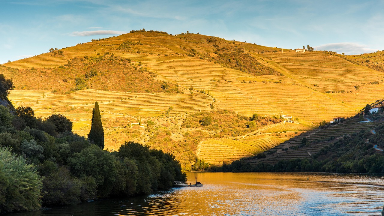 Weekend in Douro Valley with Secret World: The Perfect Guide - Douro Valley | Secret World Trip Planner