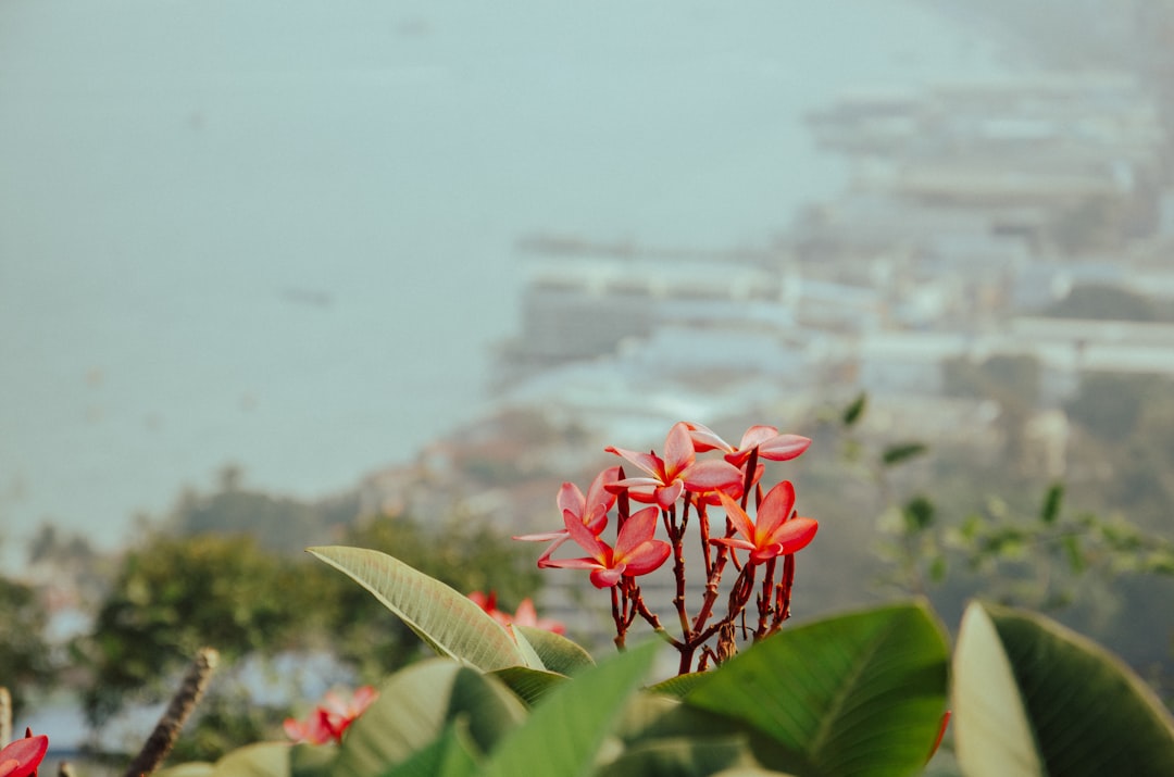 As 5 melhores apps de viagem em Porto 2026: avaliações - Porto | Secret World Trip Planner