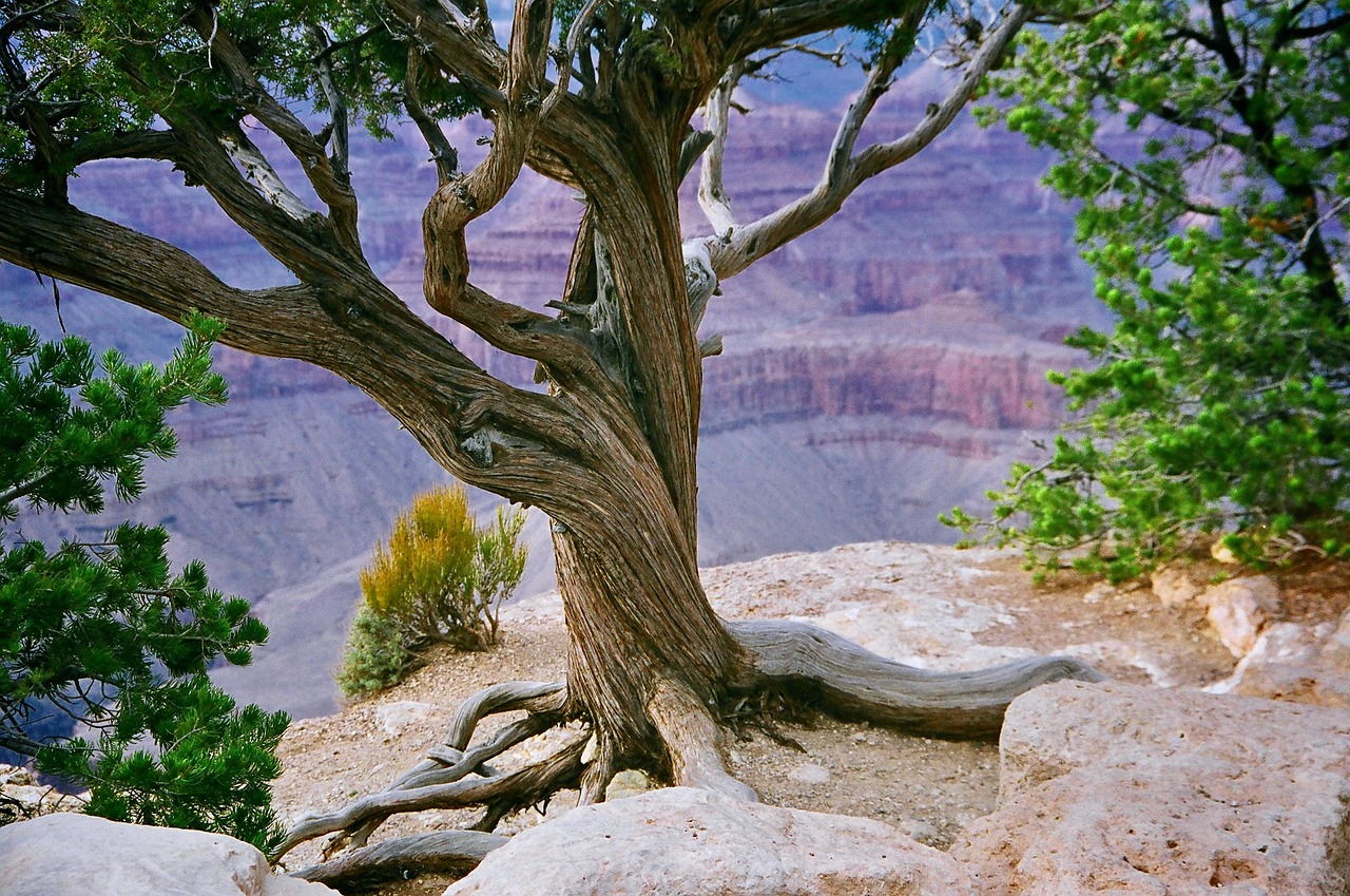 Top 5 Travel Apps for Grand Canyon 2026: Best Choices — Grand Canyon
