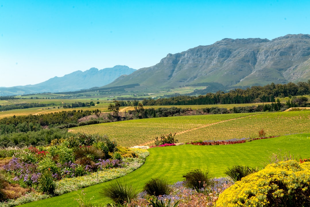 Itinerario perfetto Stellenbosch con AI nel 2026 - Stellenbosch | Secret World Trip Planner