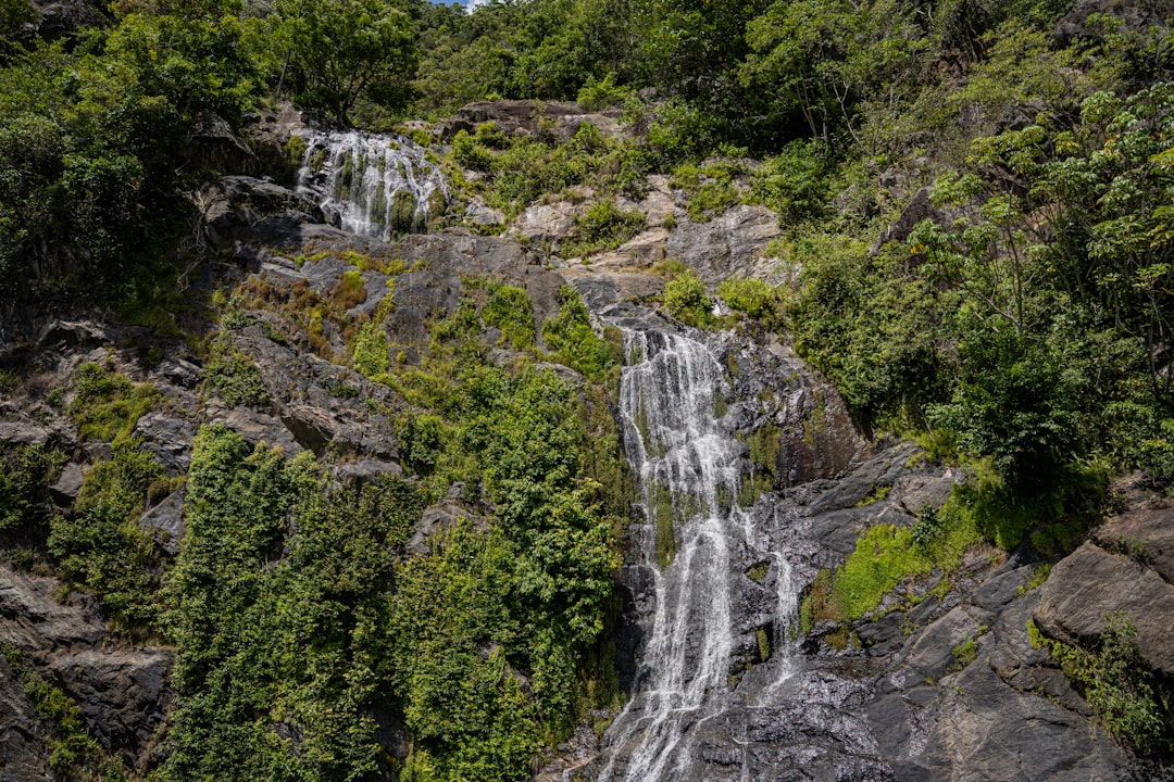 Wanderlog alternative per Cairns 2026: Scopri Secret World - Cairns | Secret World Trip Planner