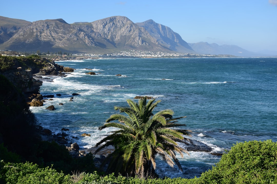 Weekend in Hermanus with Secret World: Your Perfect Guide - Hermanus | Secret World Trip Planner