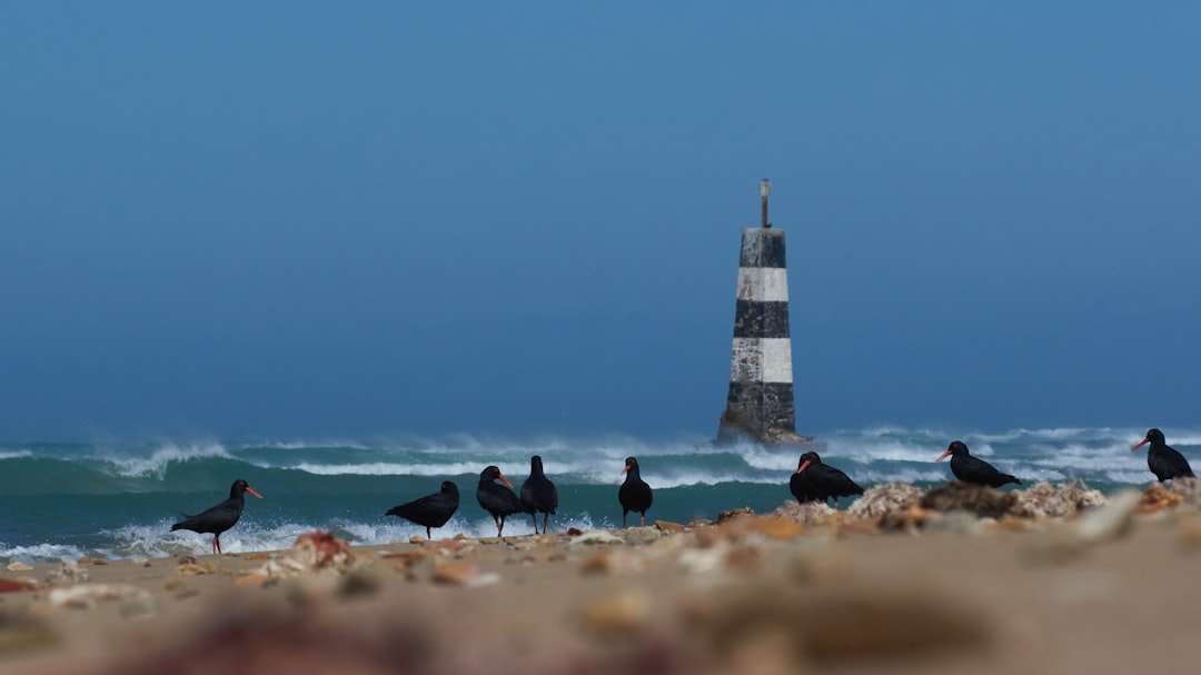 Secret World vs TripIt in Port Elizabeth: Who Wins in 2026? - Port Elizabeth | Secret World Trip Planner