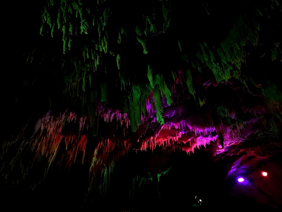 Le Magiche Grotte di Waitomo: Un Gioco di Luce e Ombre - 39 Waitomo Village Road | Secret World Trip Planner