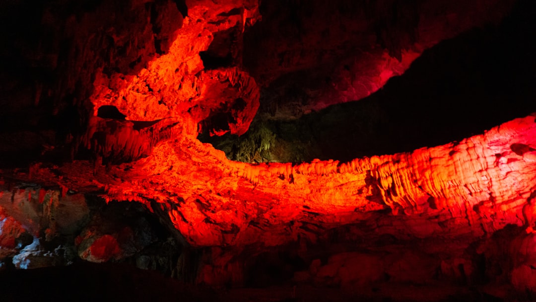 Les Grottes Magiques de Waitomo : Lumière et Ombres - 39 Waitomo Village Road | Secret World Trip Planner
