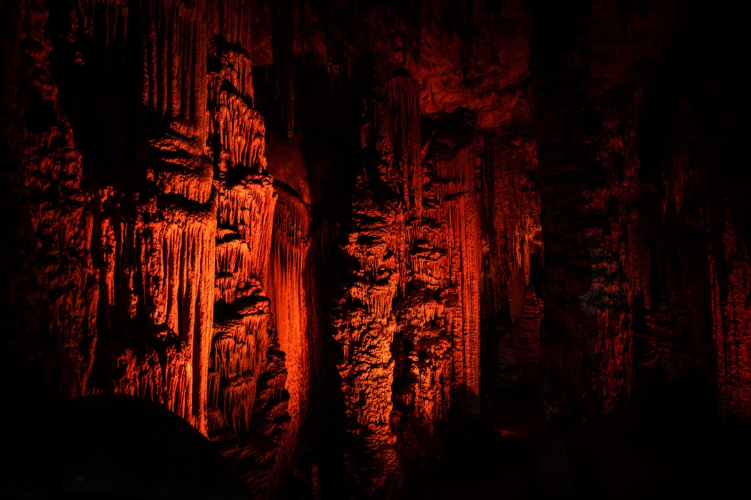 Les Grottes Magiques de Waitomo : Lumière et Ombres - 39 Waitomo Village Road | Secret World Trip Planner