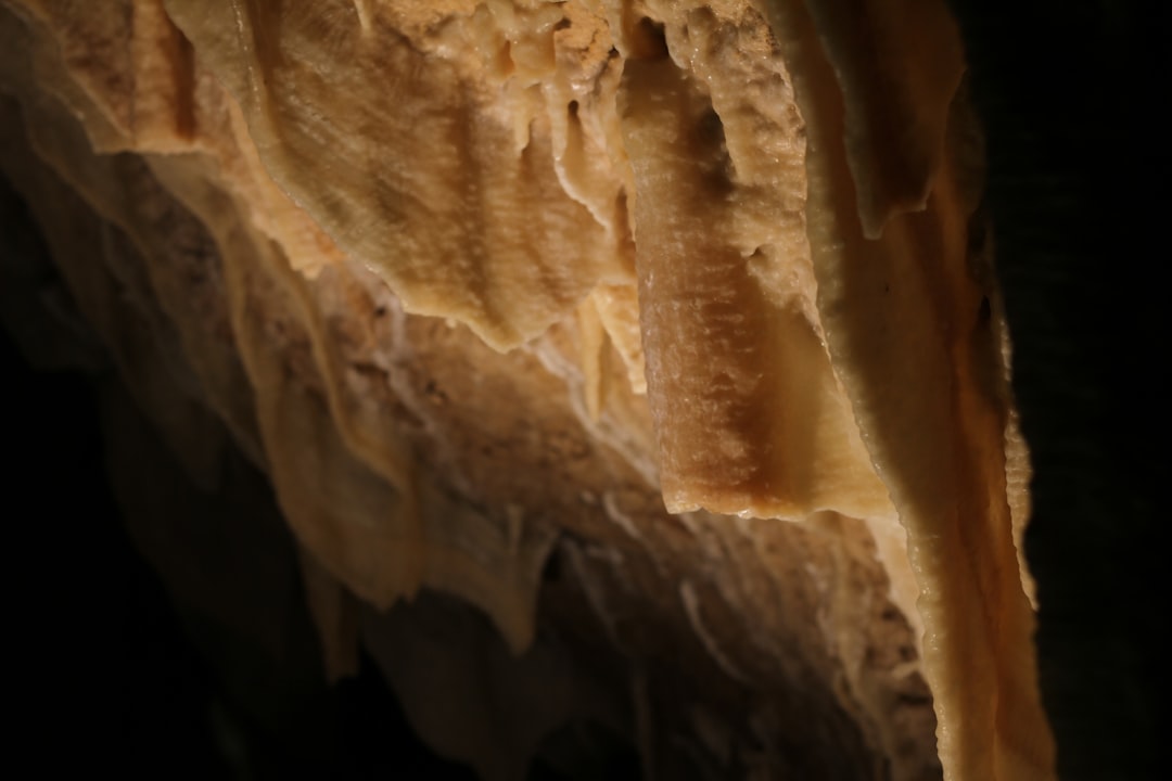 Explore Postojna Caves: A Unique Underground Journey - Jamska cesta 30 | Secret World Trip Planner