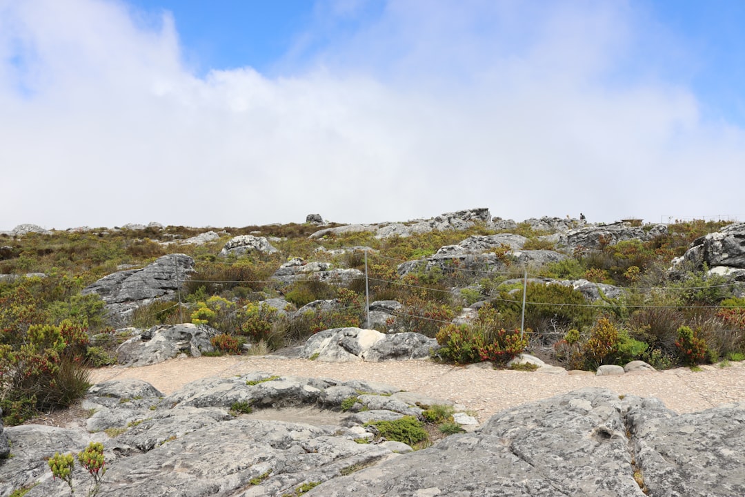 Maclear's Beacon: La Vista Iconica di Cape Town - Table Mountain (Nature Reserve) | Secret World Trip Planner