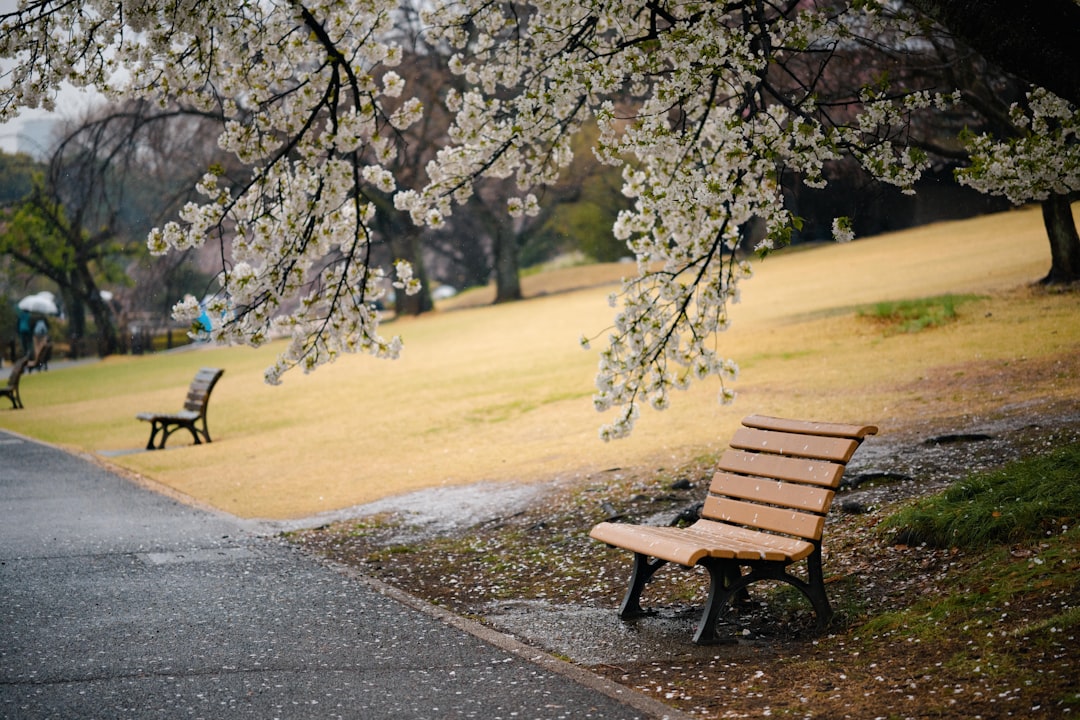 Entdeckung des Shinjuku Gyoen Nationalgartens - Shinjuku City | Secret World Trip Planner