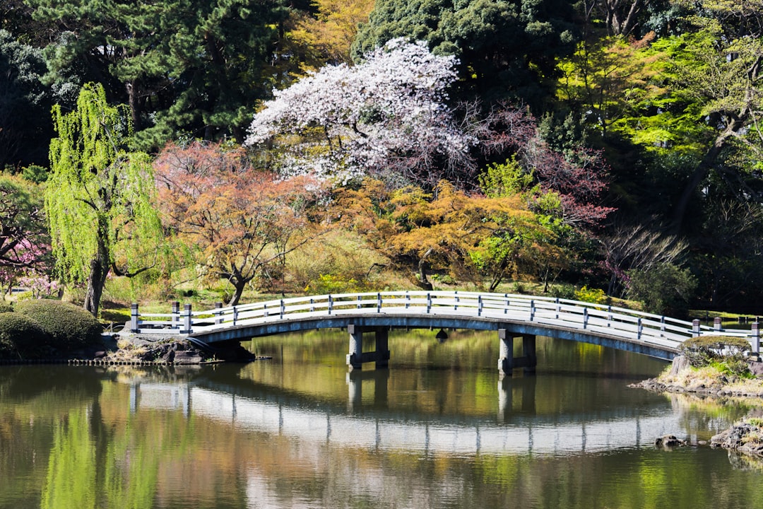 À la découverte du Jardin National de Shinjuku Gyoen - Shinjuku City | Secret World Trip Planner