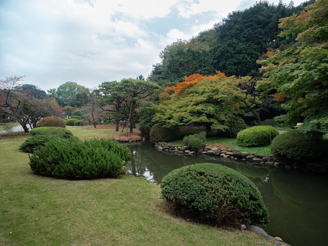 À la découverte du Jardin National de Shinjuku Gyoen - Shinjuku City | Secret World Trip Planner