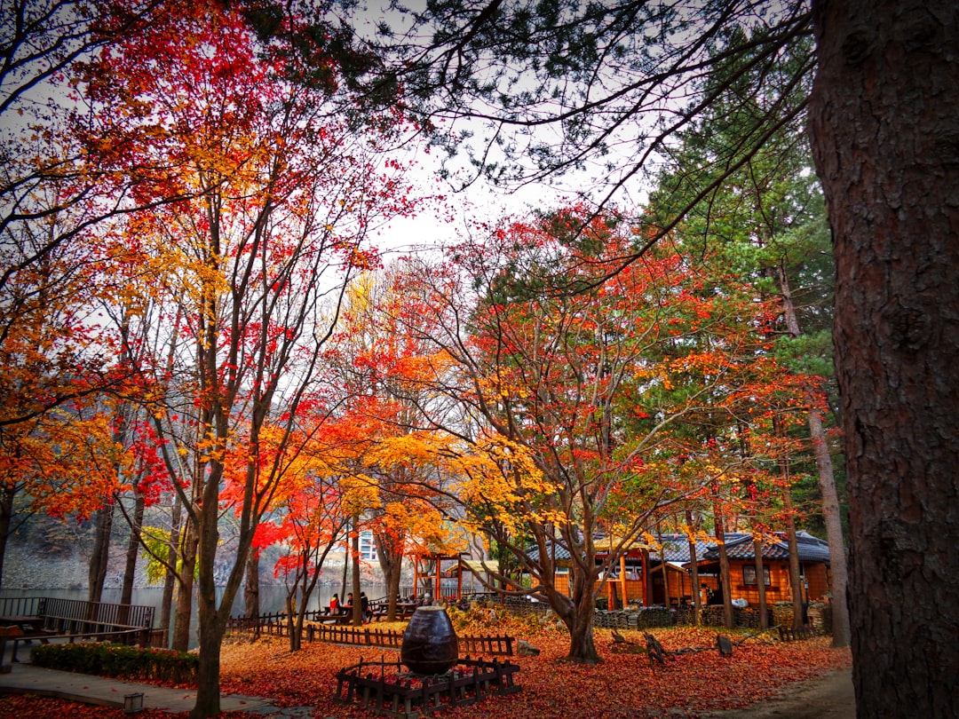 Perfect Itinerary in Seoul: Plan with Secret World - Seoul | Secret World Trip Planner