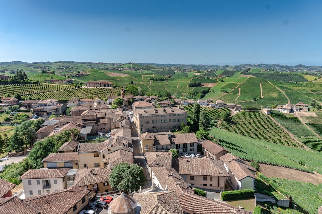 Discover Langaround Wines: Barolo and Barbaresco - 9 | Secret World Trip Planner