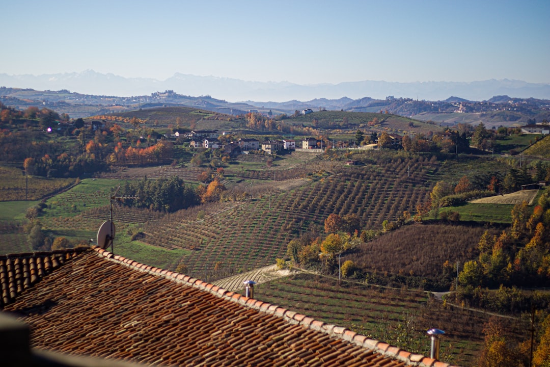 Descubre los Vinos de Langaround: Barolo y Barbaresco - 9 | Secret World Trip Planner