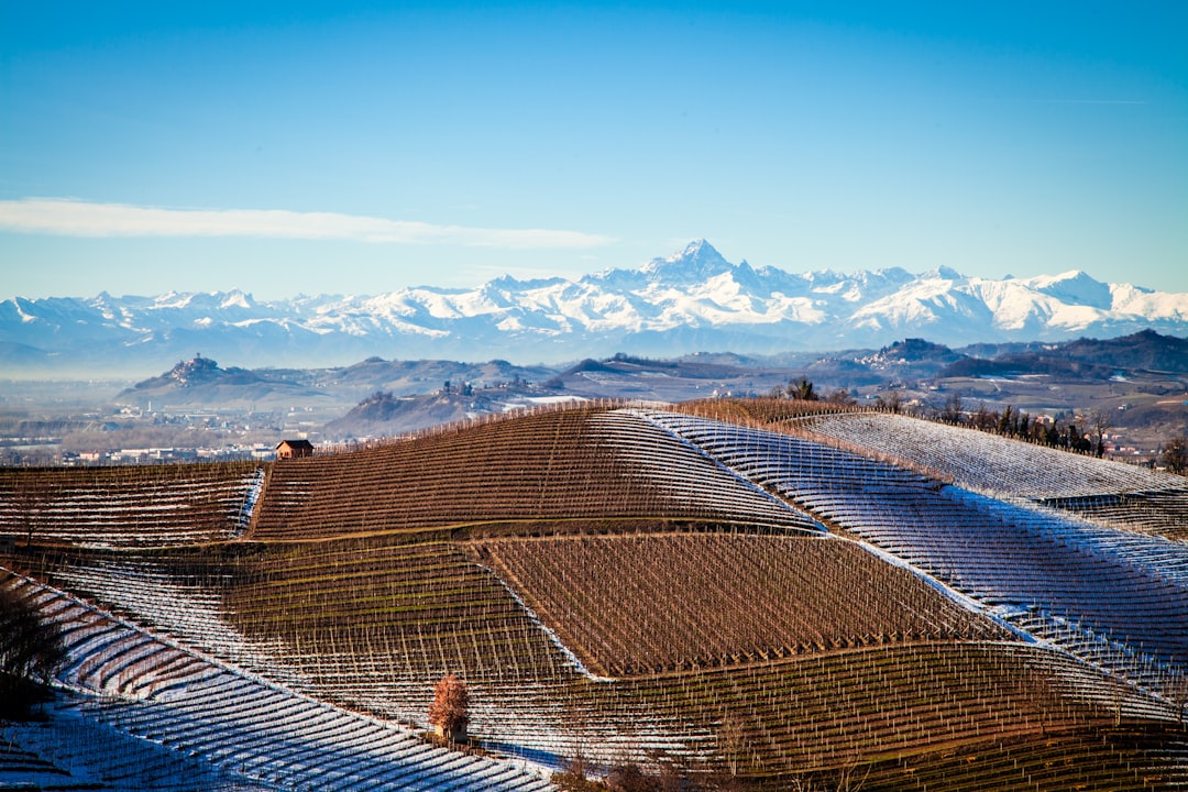 Descubra os Vinhos de Langaround: Barolo e Barbaresco - 9 | Secret World Trip Planner