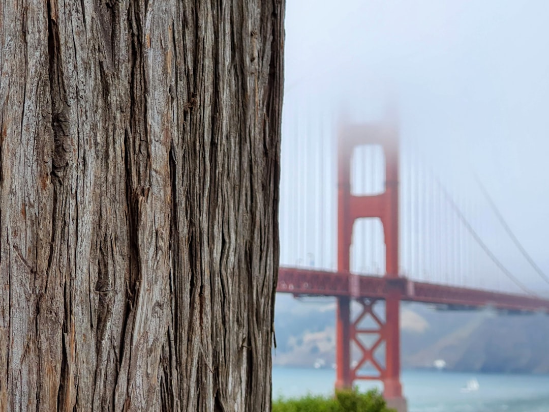 Il Fascino del Golden Gate Bridge: Un Ponte Iconico - San Francisco | Secret World Trip Planner