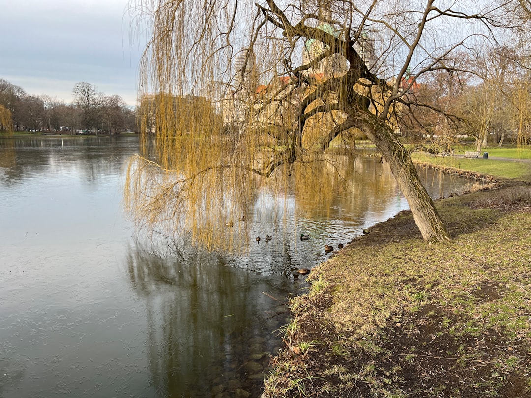 Giardini Reali di Herrenhausen: Un Paradiso Botanico a Hannover - Herrenhäuser Str. 4 | Secret World Trip Planner