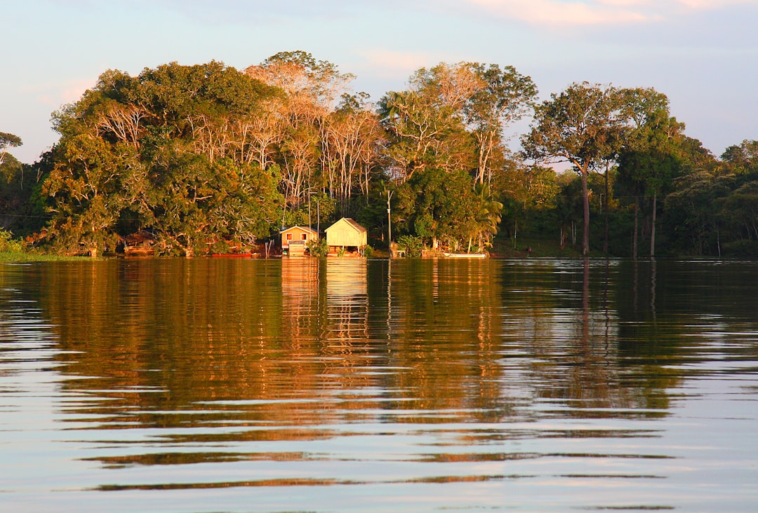 Exploring the Magic of the Amazon Rainforest - Codajás - Amazonas | Secret World Trip Planner