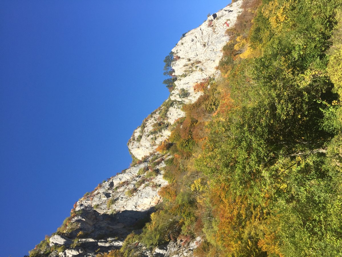 Scopri le Alpi Dinariche: Natura e Biodiversità - Alpi Dinariche | Secret World Trip Planner