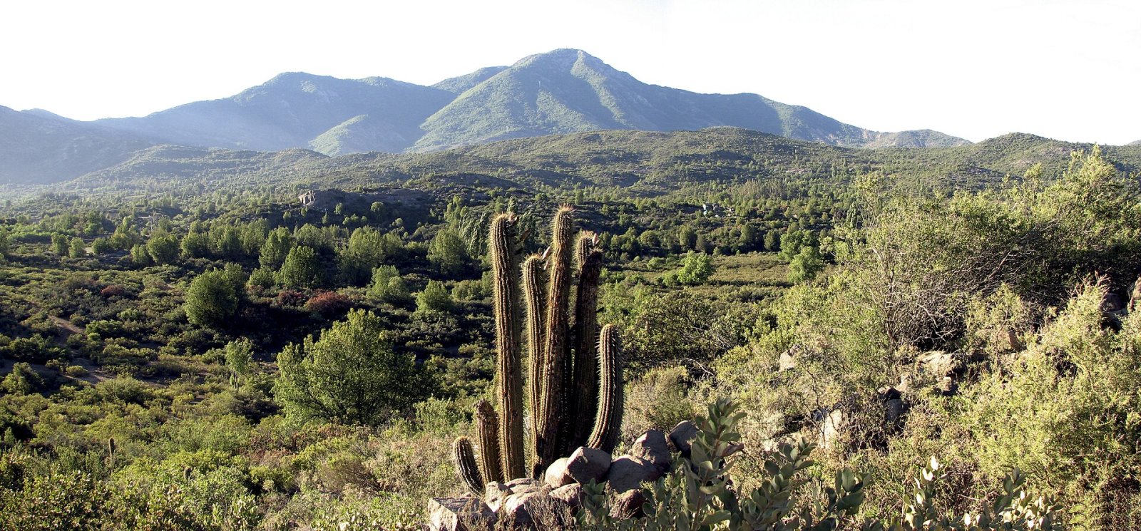 Cerro El Roble : Un Paradis Naturel au Chili | Secret World Trip Planner