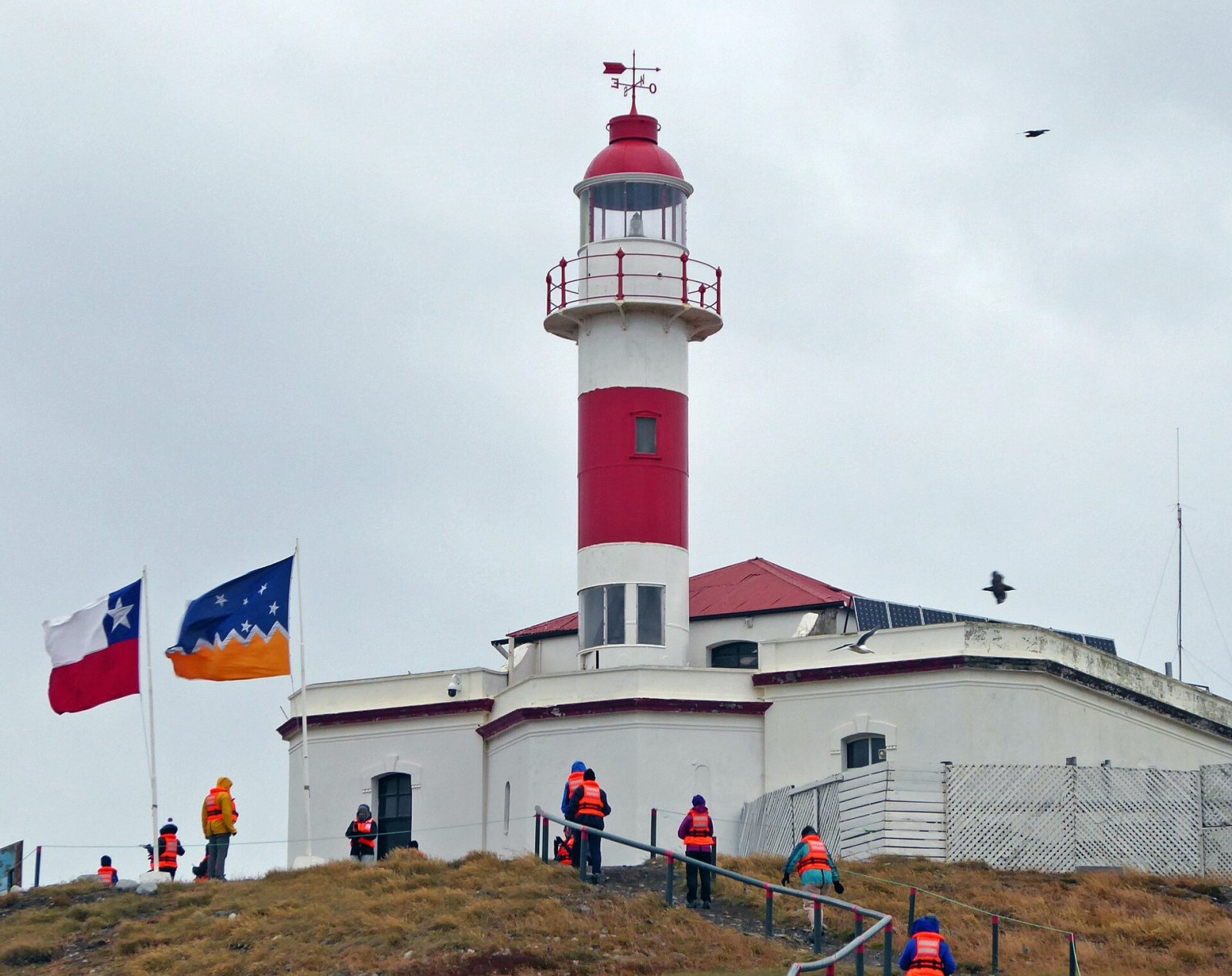 Faro Isla Magdalena: un gioiello del Cile meridionale | Secret World Trip Planner