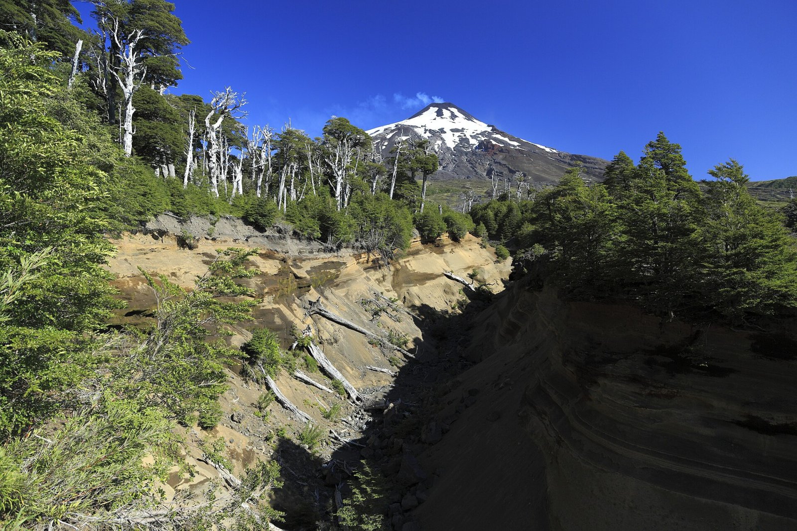 Entdecken Sie die faszinierenden Cuevas Volcánicas des Villarrica in Chile - Refugio Villarrica | Secret World Trip Planner