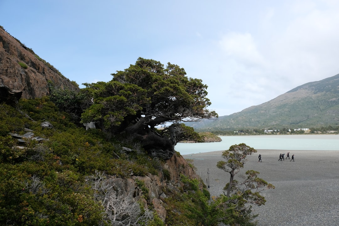 Mirador Lago Grey : un panorama à couper le souffle au Chili | Secret World Trip Planner