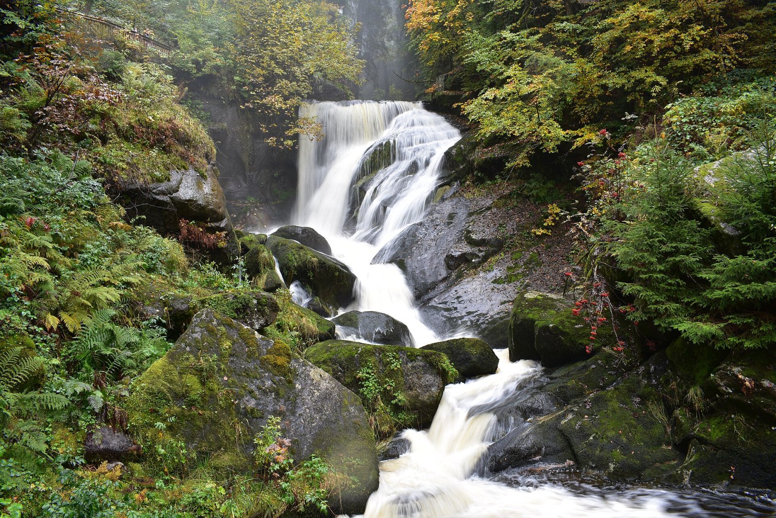 Découvrez les spectaculaires Triberger Wasserfälle en Allemagne - Schonach im Schwarzwald | Secret World Trip Planner