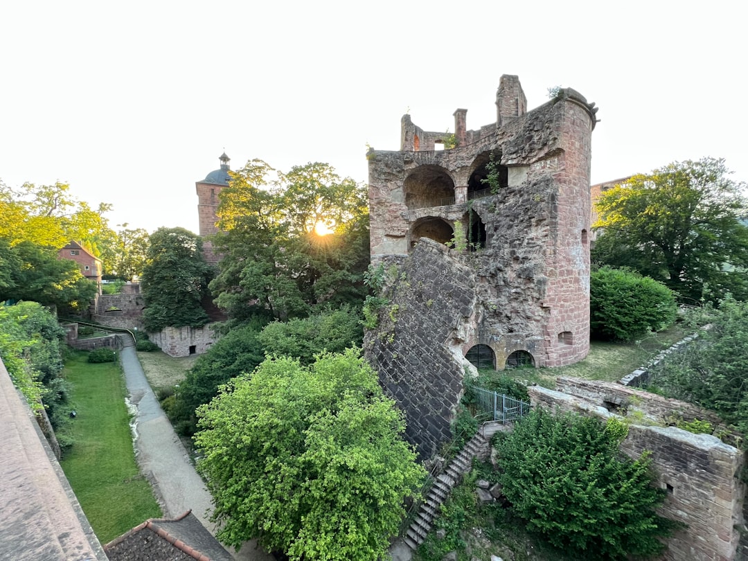 Entdecken Sie den Charme des Heidelberger Schlosses - Heidelberg | Secret World Trip Planner