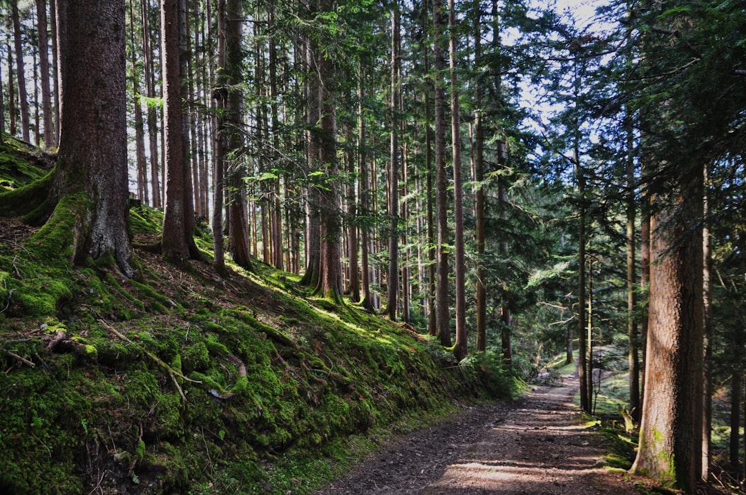 Entdecken Sie Tegernsee: Ein Juwel in Bayern umgeben von Natur - Tegernsee | Secret World Trip Planner