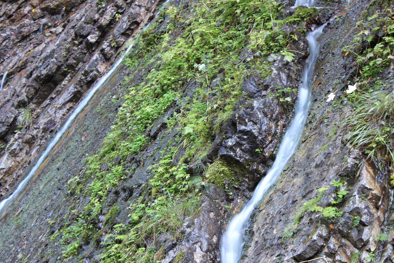 Découvrez Wimbachklamm : un joyau naturel en Bavière - Ramsau bei Berchtesgaden | Secret World Trip Planner