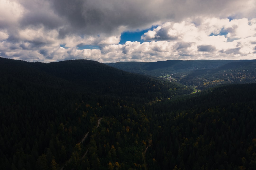 Découvrez le Parc National de la Forêt Noire : un joyau naturel en Allemagne - Freudenstadt | Secret World Trip Planner