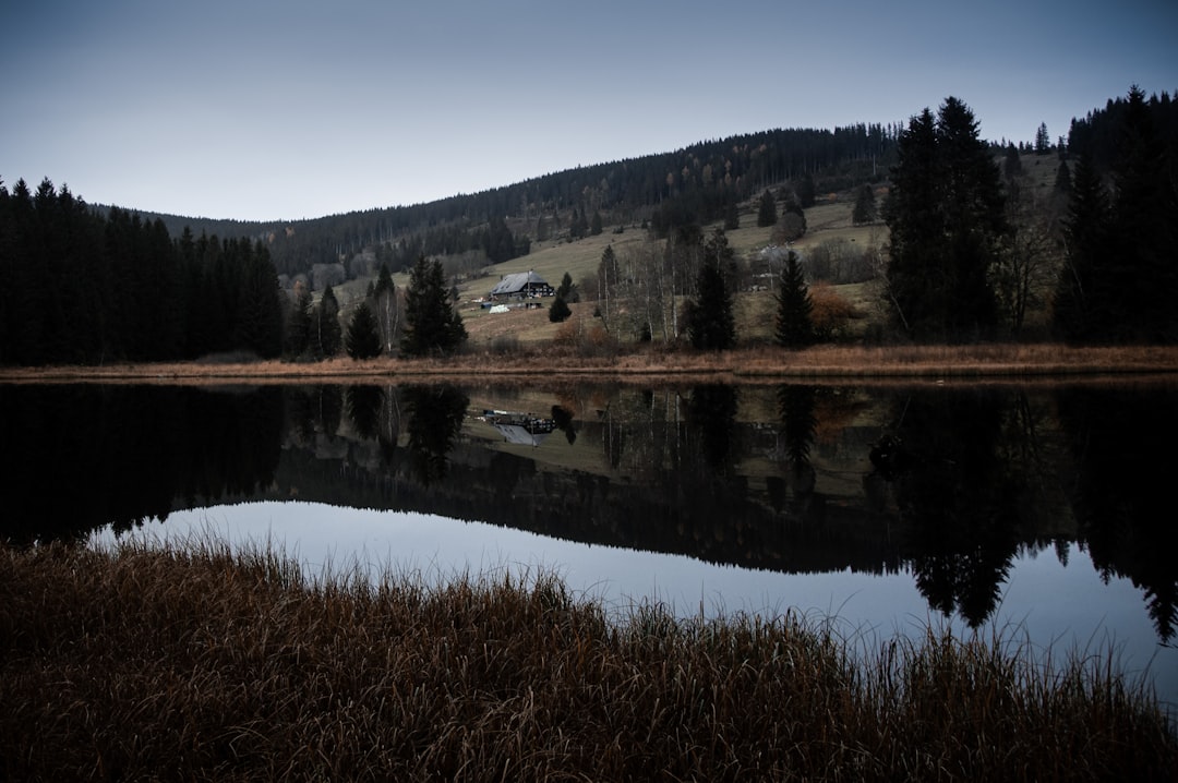 Scopri Schluchsee: il gioiello della Foresta Nera — Schluchsee