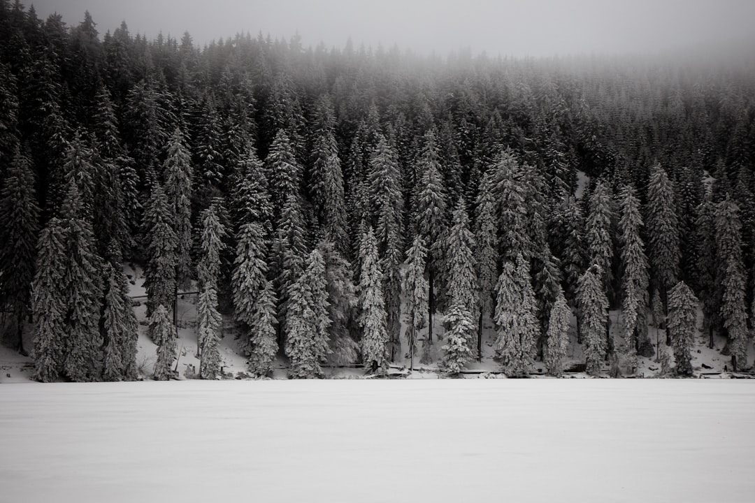 Mummelsee : Un Paradis Naturel au Coeur de la Forêt Noire - Seebach | Secret World Trip Planner