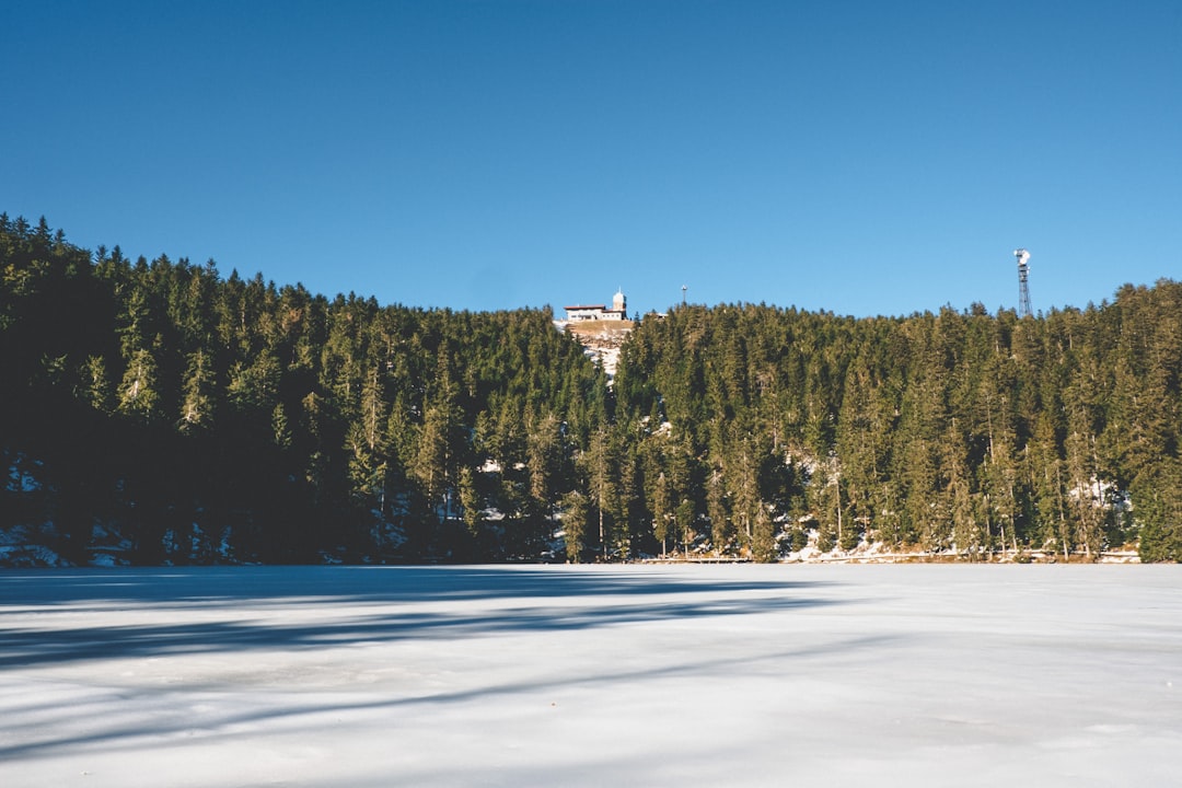 Mummelsee : Un Paradis Naturel au Coeur de la Forêt Noire - Seebach | Secret World Trip Planner