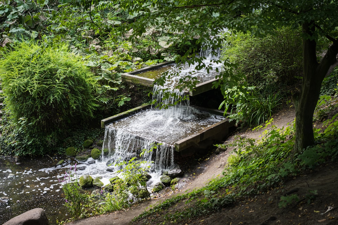 Planten un Blomen: уголок природы в Гамбурге - Hamburg | Secret World Trip Planner