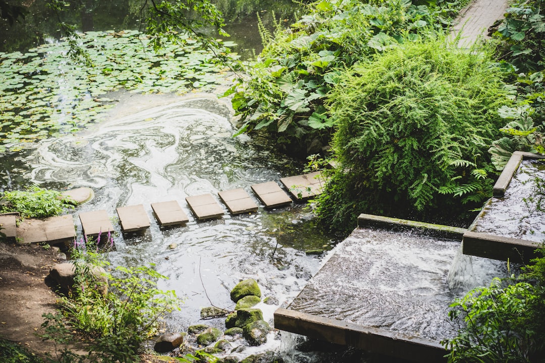 Planten un Blomen：汉堡的自然角落 - Hamburg | Secret World Trip Planner