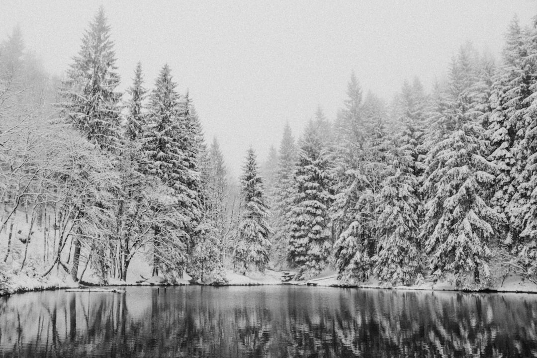 Discover the Thüringer Wald: a Natural Gem in Germany - Oberhof | Secret World Trip Planner
