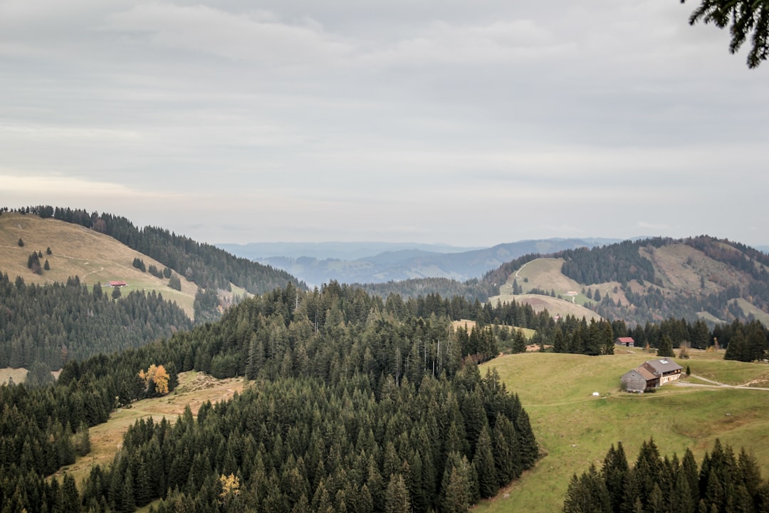Découvrez le Rennsteig Ridge : un sentier entre nature et histoire en Thuringe - Neuhaus am Rennweg | Secret World Trip Planner