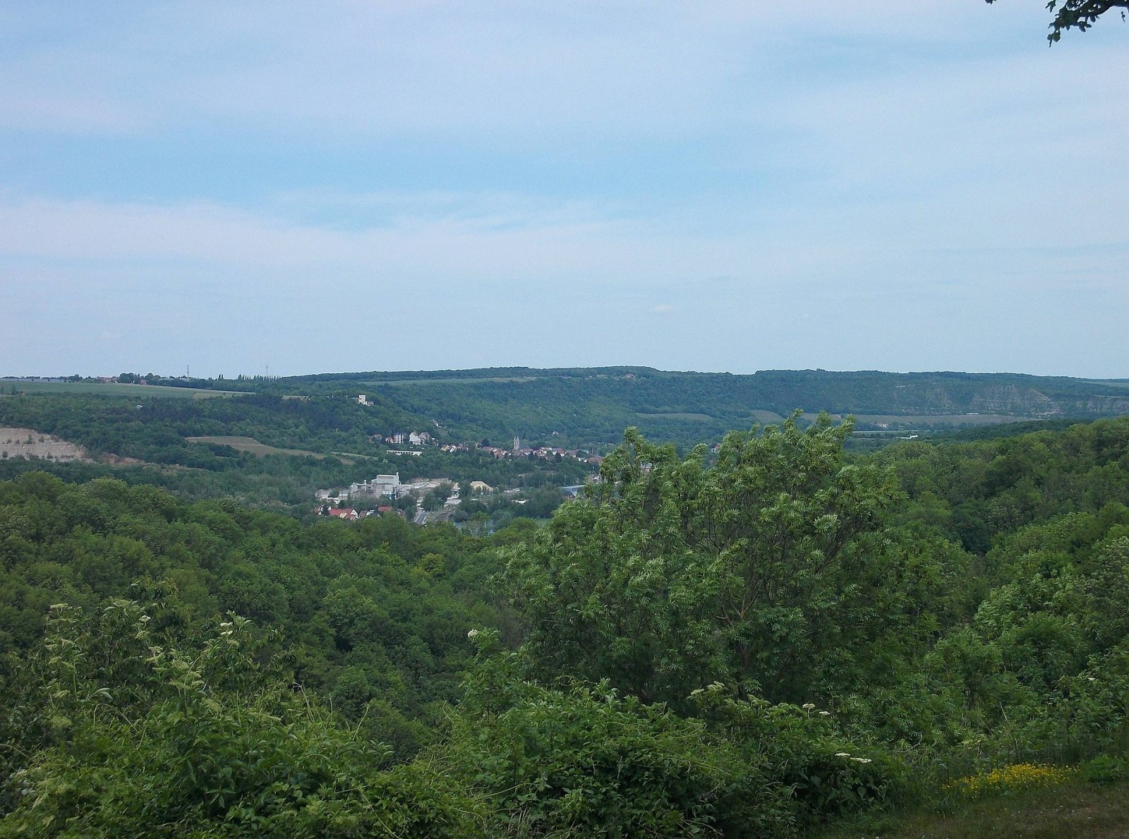 Découvrez la vallée de Saale-Unstrut : Nature et Histoire à Naumburg - Naumburg (Saale) | Secret World Trip Planner