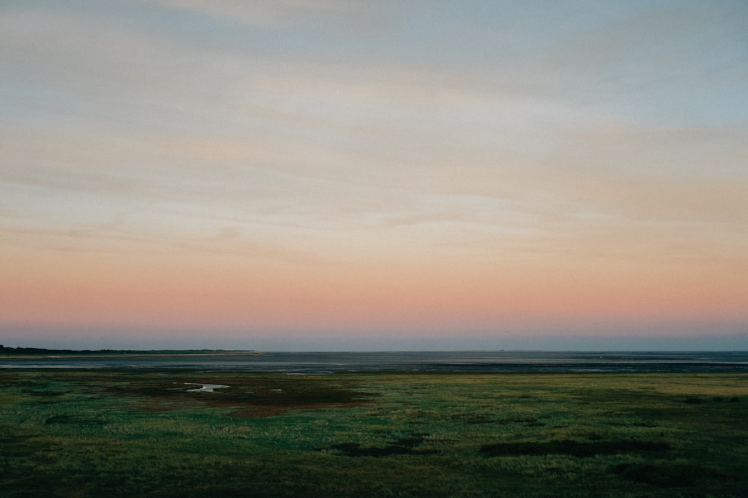Discover Wattenmeer National Park in Cuxhaven: A Natural Gem - Cuxhaven | Secret World Trip Planner