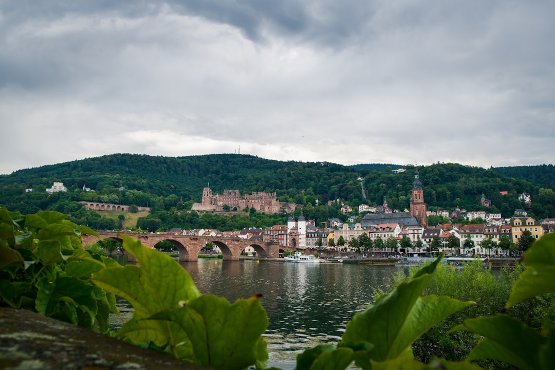 Découvrez la vieille ville d'Heidelberg : un joyau historique en Allemagne - Heidelberg | Secret World Trip Planner