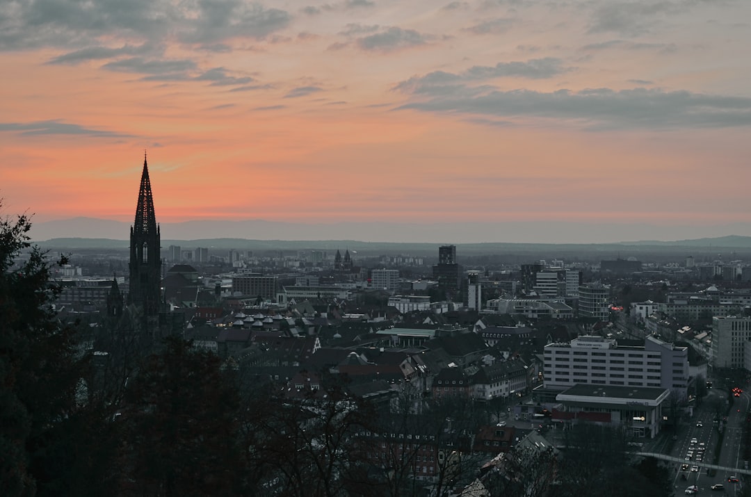 Discover Freiburg Münster: A Cultural Gem in Germany - Freiburg im Breisgau | Secret World Trip Planner