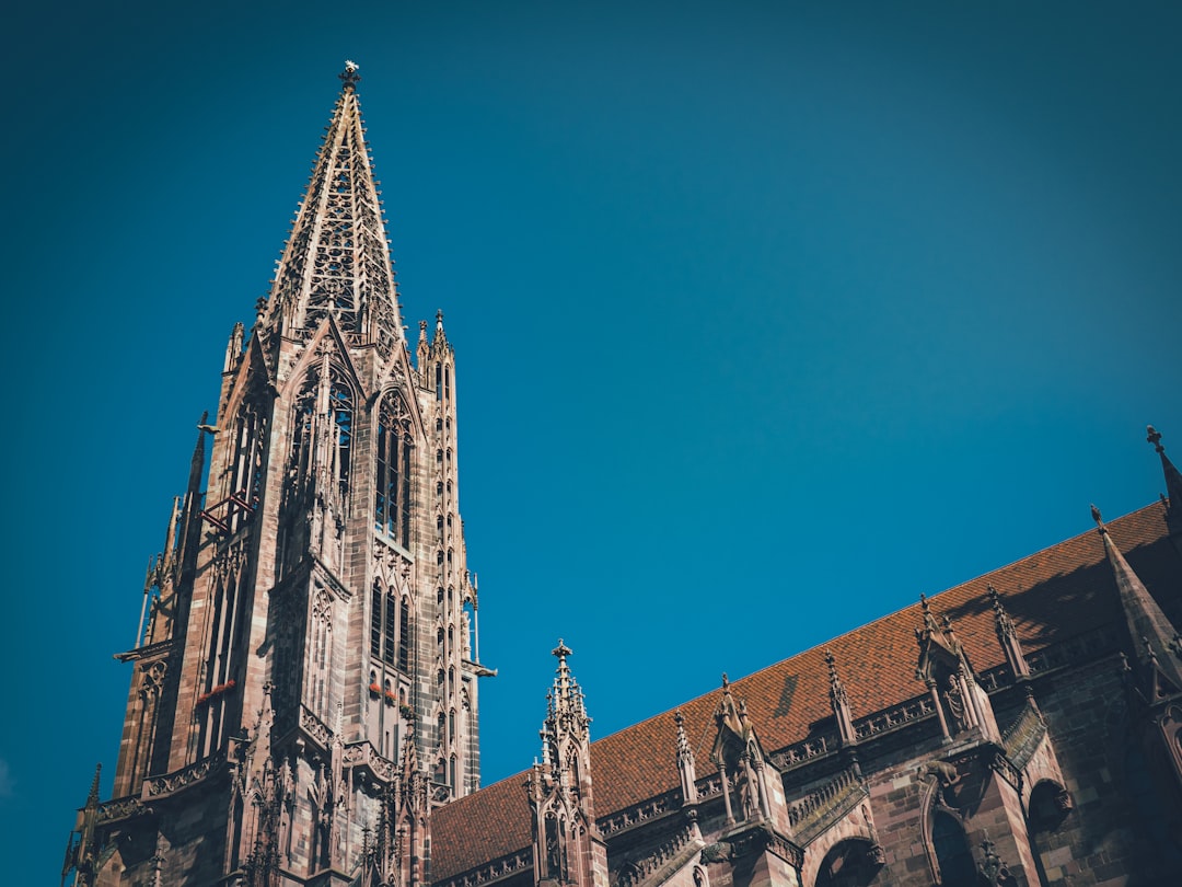 Découvrez Freiburg Münster : joyau culturel en Allemagne - Freiburg im Breisgau | Secret World Trip Planner