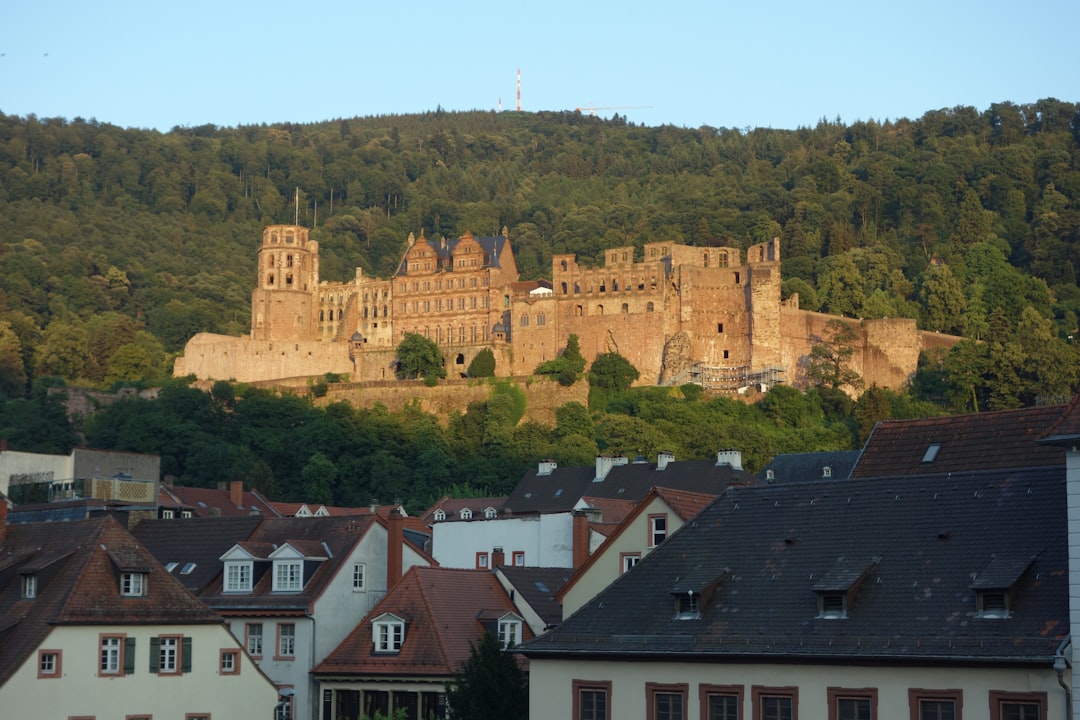 Entdecken Sie die Marksburg: Geschichte und Schönheit am Rhein — Spay