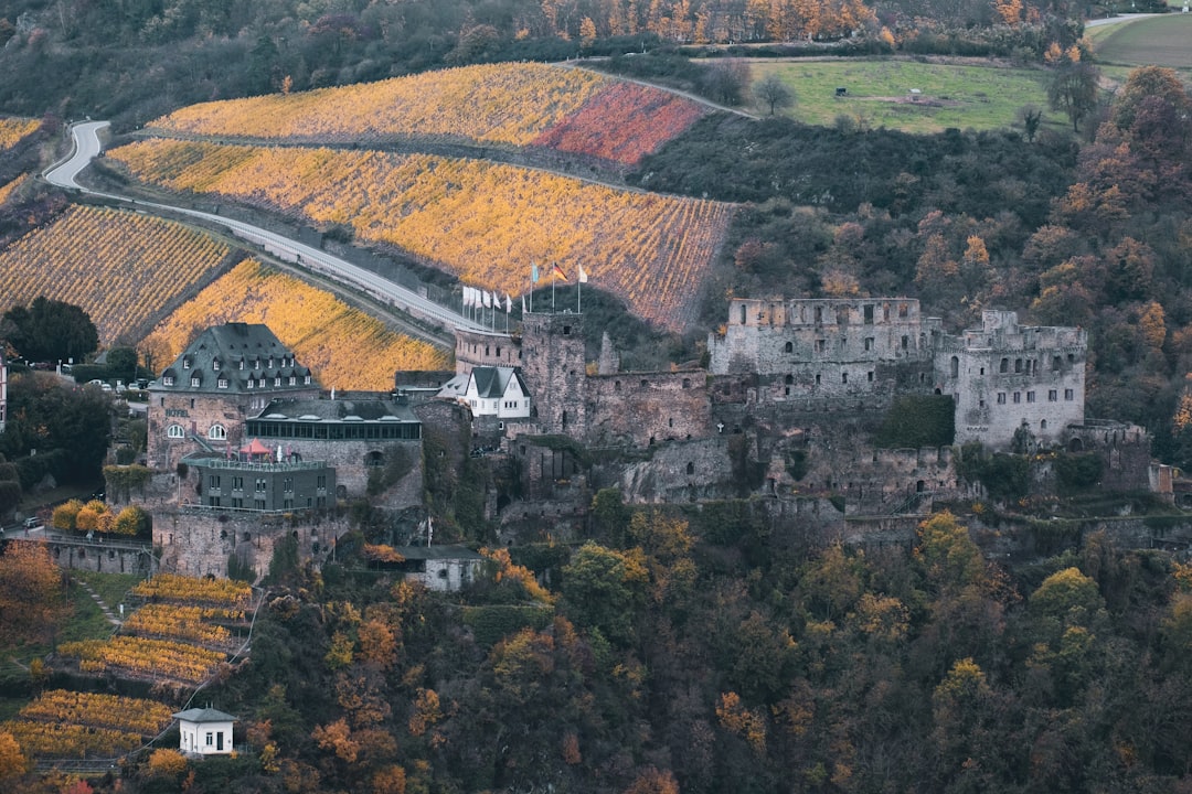 Découvrez le Château de Rheinfels : Histoire et Beauté sur le Rhin — Sankt Goar